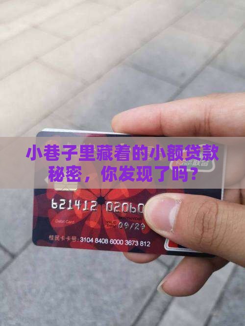 家里做小额贷款 家里做小额贷款