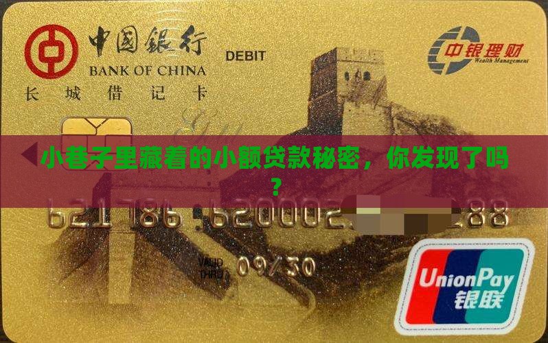 家里做小额贷款 家里做小额贷款