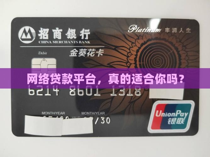 媒体聚焦网络贷款平台