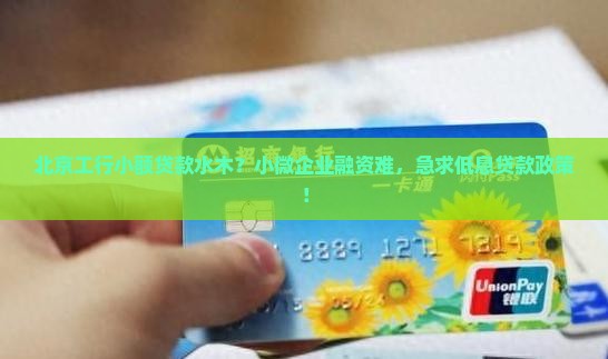 北京工行小额贷款水木