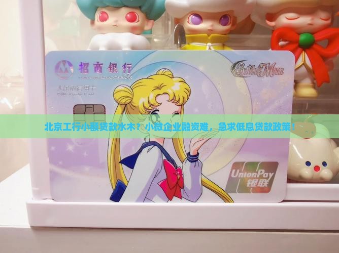 北京工行小额贷款水木