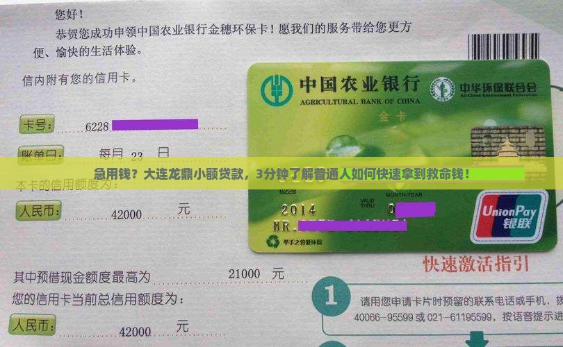 大连龙鼎小额贷款