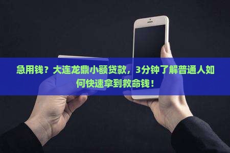 大连龙鼎小额贷款