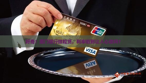 厦门银行微粒贷款利率
