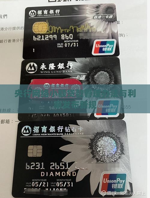 央行网络小额贷款