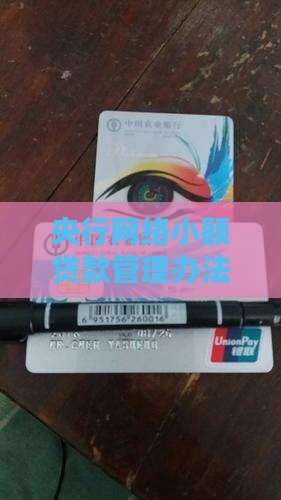 央行网络小额贷款