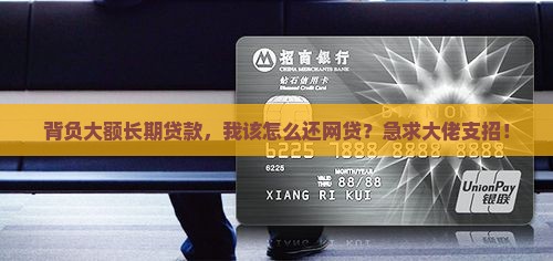 大额长期贷款还网贷