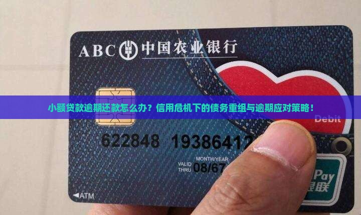小额贷款逾期还款怎么办
