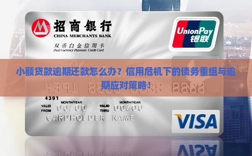 小额贷款逾期还款怎么办