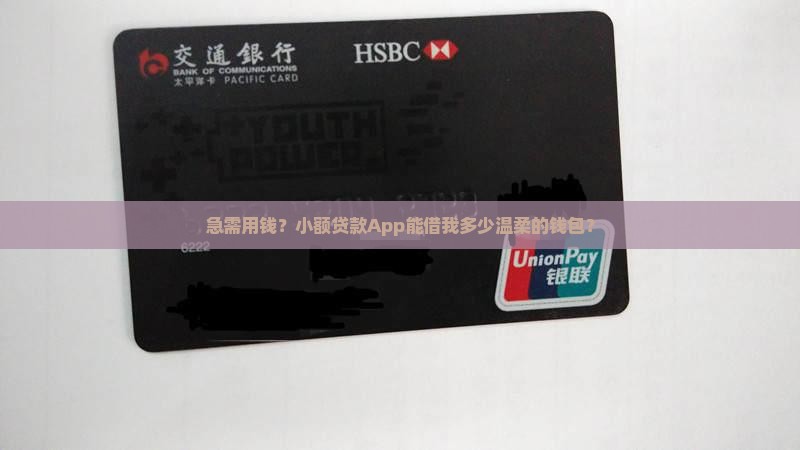 小额贷款app多少钱