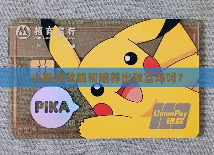 小额贷款养鸡