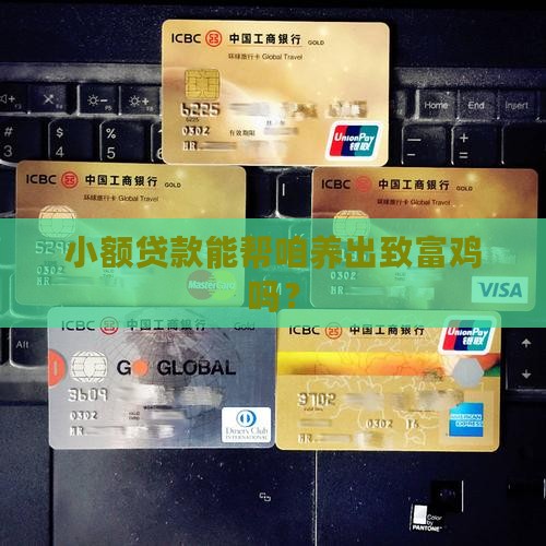 小额贷款养鸡