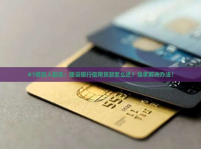 建设银行信用贷款怎么还