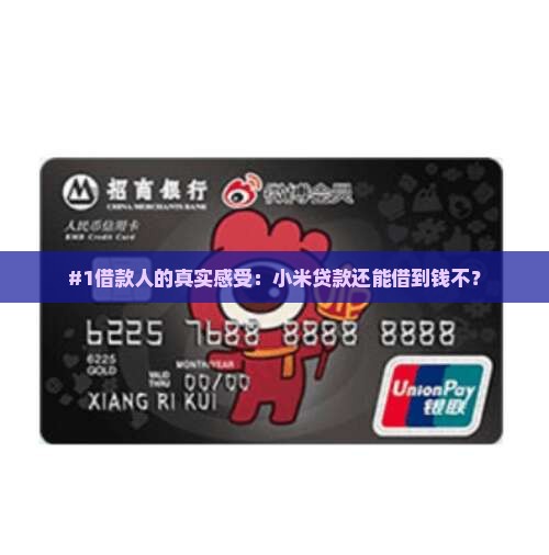 小米贷款还有人能用吗