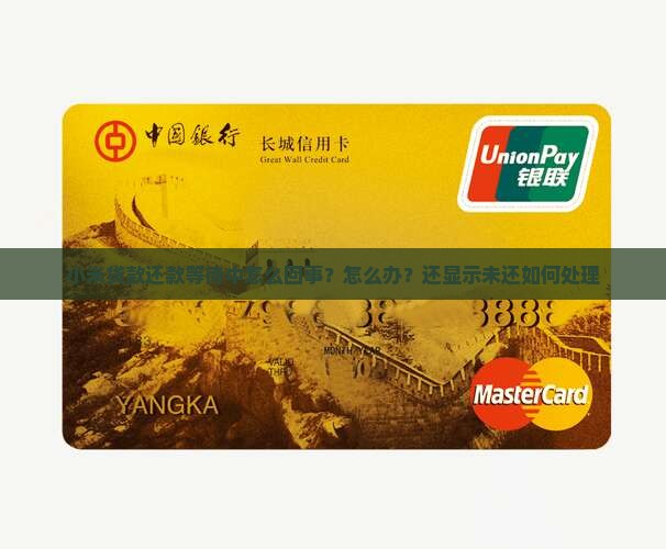 小米贷款还款等待中