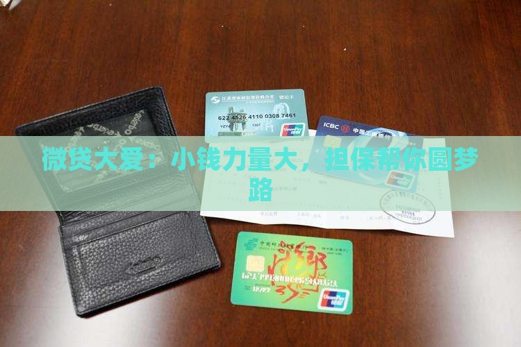 小额贷款和小额担保贷款