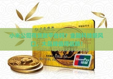小米公司有贷款平台吗