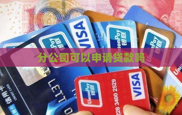 分公司能否申请银行贷款
