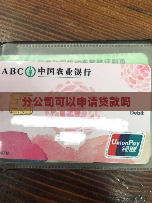 分公司能否申请银行贷款