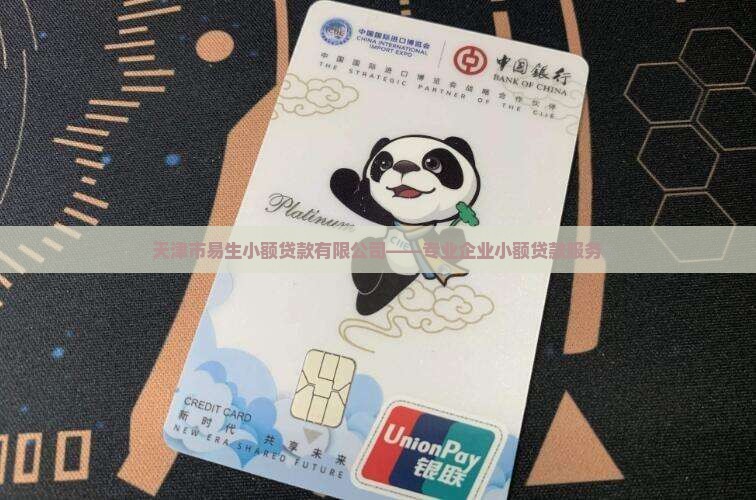 天津市易生小额贷款