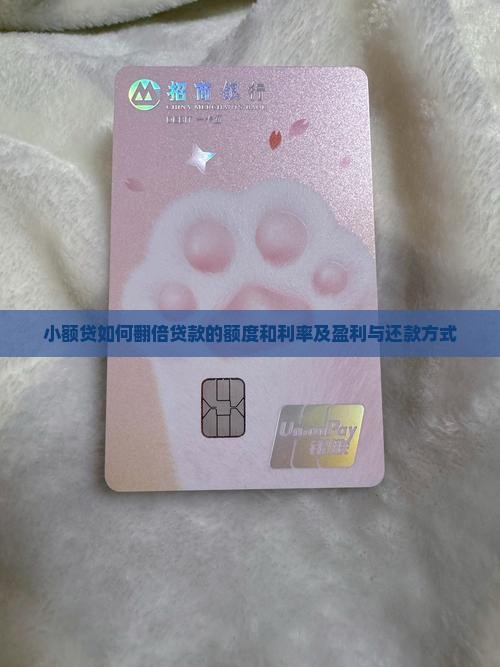 小额贷如何翻倍贷款的