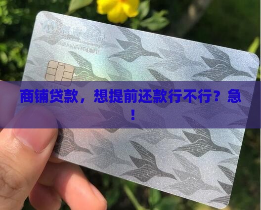 商铺贷款可提前还款吗