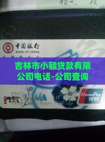 吉林市小额贷款电话号