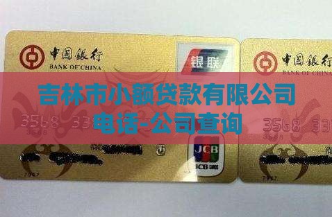 吉林市小额贷款电话号