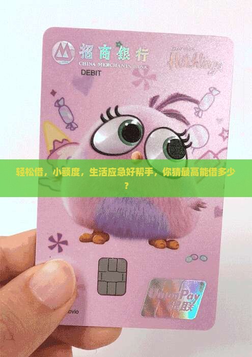 小额贷款额度