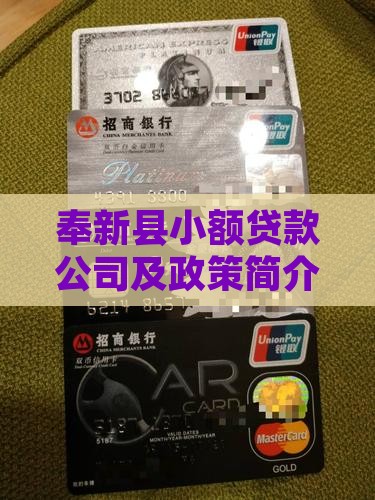 奉新县小额贷款