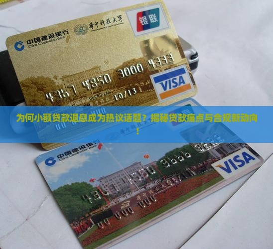 小额贷款可以退息