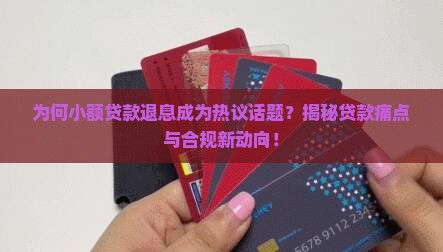 小额贷款可以退息