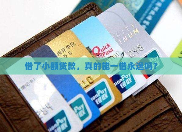小额贷款借了还用还吗