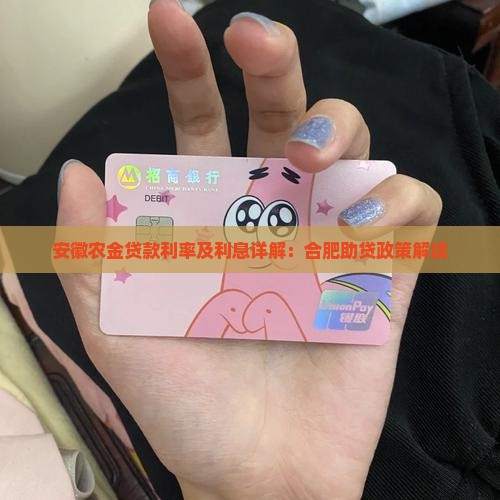合肥农金助贷贷款利率