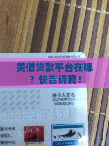 哪个贷款平台有美借