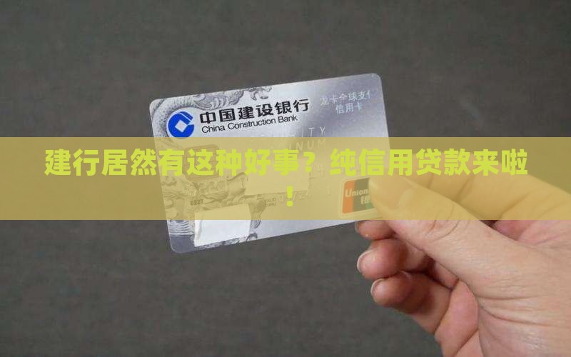 建行的纯信用贷款