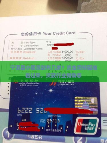 宁洱县小额贷款有几家
