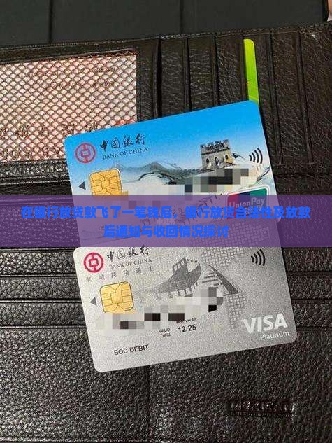 在银行放贷款飞了
