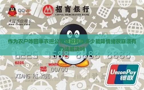 农担公司申请贷款利息