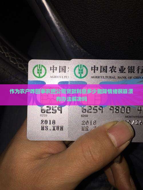 农担公司申请贷款利息