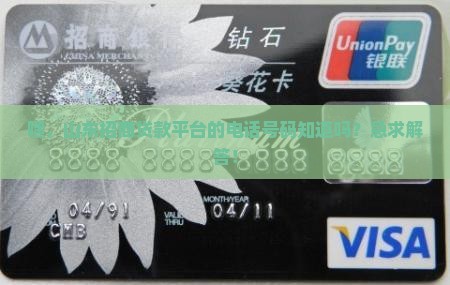 山东招商贷款平台电话