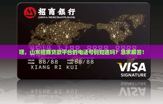 山东招商贷款平台电话