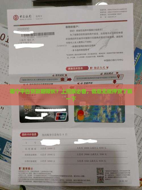 哪个平台贷款期限长