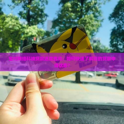 宝付网络科技贷款进度