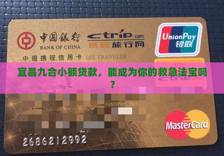 宜昌九合小额贷款