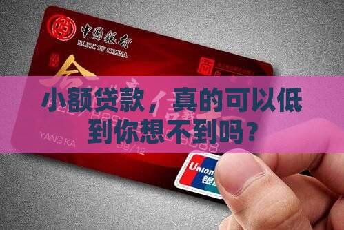 小额贷款最低贷款额度