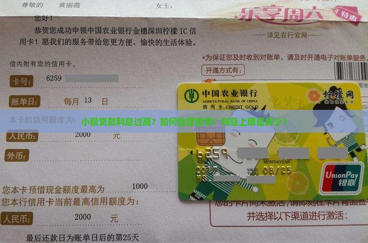 小额贷款利息过高