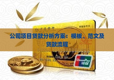 公司项目贷款分析方案
