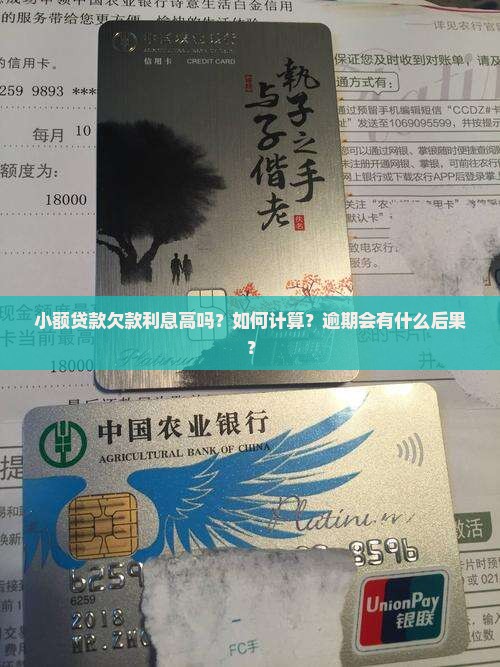 小额贷款欠款利息