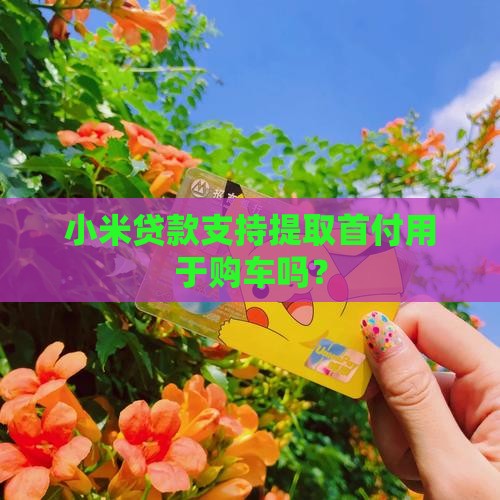 小米贷款可以提取首付吗